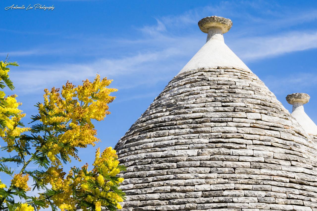 Bed and Breakfast Da Santino Alberobello Exterior foto